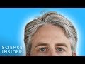 Why Some People's Hair Turns Gray