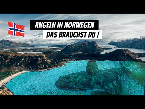 Angeln in Norwegen Tutorial – Ausrüstung, Köder & Tipps für Heilbutt & Dorsch