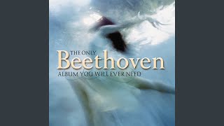 Symphony No. 1 In C Major, Op. 21: I. Adagio molto - Allegro con brio