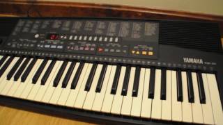 Video thumbnail for Demo of Yamaha PSR-210 Keyboard by Tom Tullis