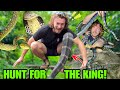Hunt For The KING COBRA FULL MOVIE