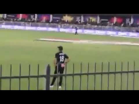 Pakistani Cheering And Taunting Security Security To New Zealand Players in Sharjah Stadium