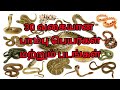30 வகையான பாம்பு பெயர்கள் மற்றும் படங்