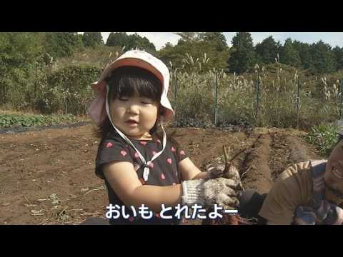 YouTube Video 「うんとこしょ、どっこいしょ」　サツマイモの収穫体験が子どもたちに人気　静岡・富士市「富士山こどもの国」
