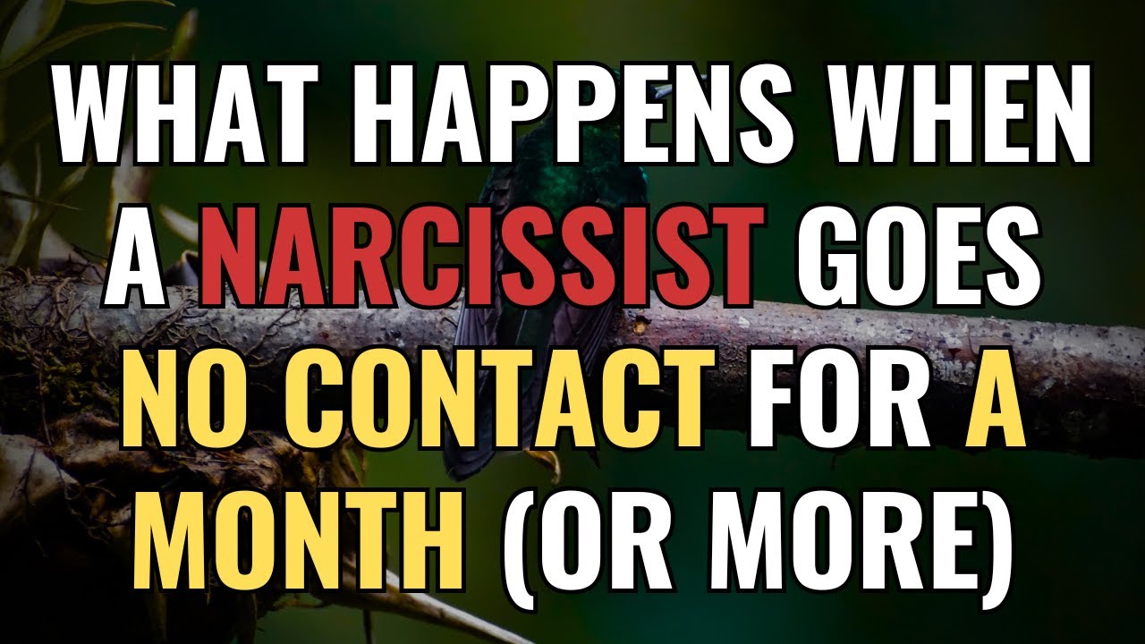 What Happens When a Narcissist Goes No Contact for a Month (or More) | NPD | Narcissism