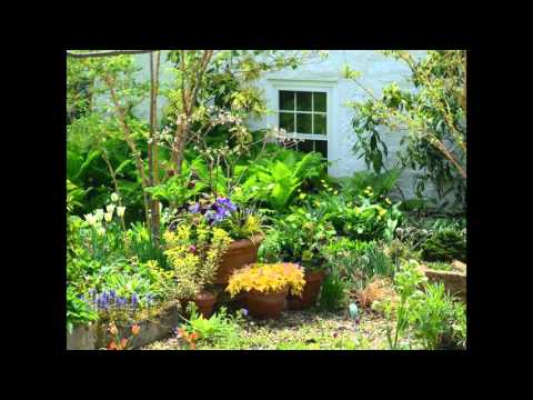 download lagu mp3 mp4 David L Culp, download lagu David L Culp gratis, unduh video klip David L Culp