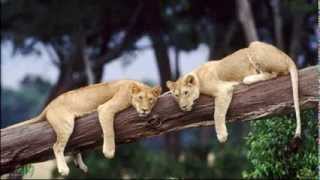 Obsidian Radio ft. Jan Johnston - Love Like This (Beautiful needs) (Thomas Datt remix)