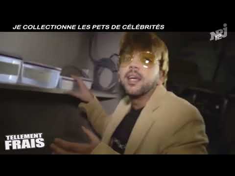 Le collectionneur de pets