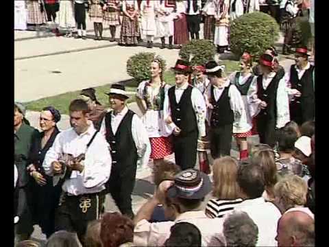 KUD JANKOVCI Svecani mimohod.flv