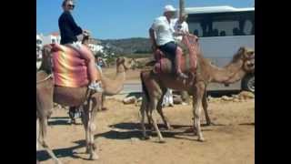 preview picture of video 'Riding a Camel in Tangier'