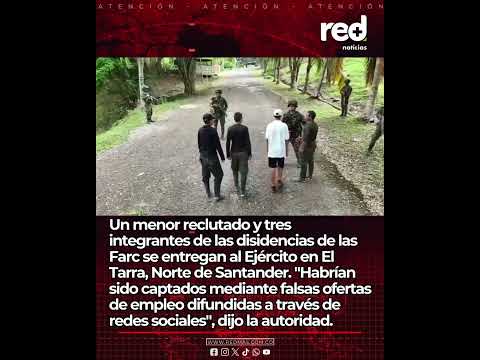Alerta en Colombia: falsas ofertas de empleo esconden algo más | Ejército revela modus operandi