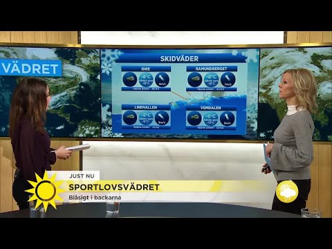 Mycket snö - men blåsigt i backarna - Nyhetsmorgon (TV4)