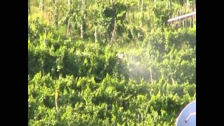 preview picture of video 'Pesticidi a La Bella (3) di Follina (TV) - DOCG Violazione del RPR'