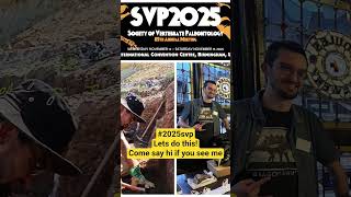 SVP 2025 is go! #2025svp #fyp #palaeontology #science #fossils #dinosaur #biology #geology #nature