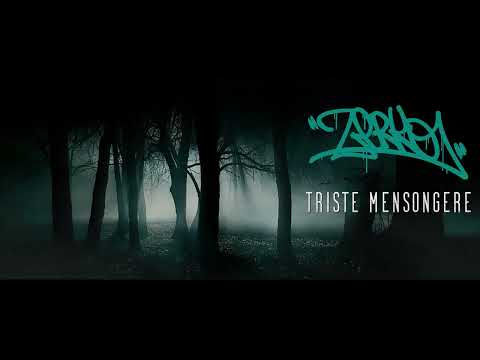 Zerko - Triste mensongère