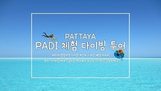 파타야 액티비티중 가장 꿀잼 PADI 파타야 스쿠버다이빙