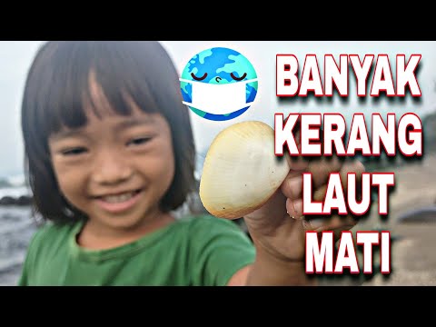 PANTAI KARANG PAPAK TEMANI KAKA NAJAH MAIN