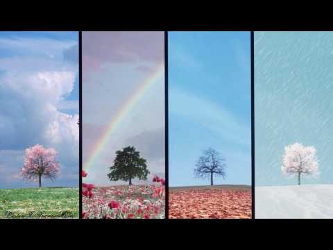 Max Graham feat. Neev Kennedy - Sun In The Winter ( ID Remix ? )