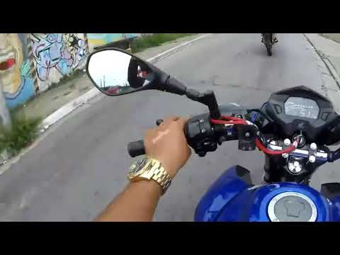 Fuga da viatura com a gata na garupa 👮😱