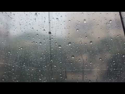 Relaxing Rain Sound Under Umbrella ☂️gentle Rain Sounds for Sleeping