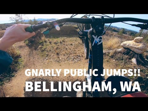 CEDAR DUST JUMP LINE | Bellingham, WA