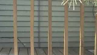 AMI: The Return - Teaser Trailer