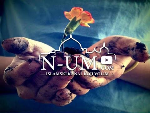 Budi skroman i ponizan - Šejh Ismail Menk