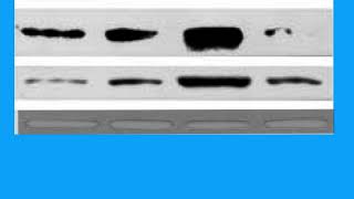 Download lagu 5486BC6746385F7B49129408B6D375#1 mp3