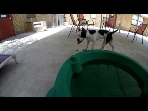 EMMY LOU AND PREETA JUNE 25 2014