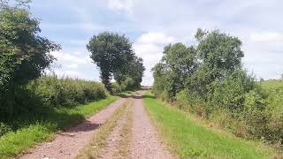 Cover art for Feels Like a Wish