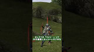 天上天下天地無双刀とかいう不遇なイケメン武器について【MHP2g】
