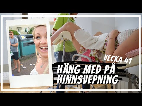 FÅR HINNSVEPNING | Gravid vecka för vecka 41 | vlogg