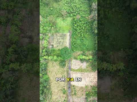 Lote de 1102 m² ($27,500) #ecuador #agricultura #ventacasa #naturaleza #alquilercasa