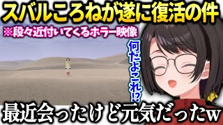 スバルころねの復帰と最近の様子について語る【大空スバル/ホロライブ】