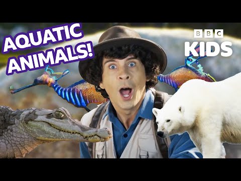 Animals that live on the water! | Andy's Adventures| BBC Kids