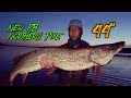 Video Thumbnail for I Broke My PB PIKE Twice Tonight!! Fishing BIG Northern Pike in Shallow Water (44 Inches)