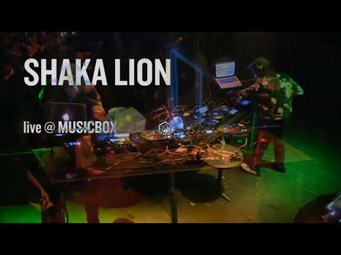 Shaka Lion