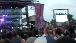 Animal Collective - Bleed - Lollapalooza 2009