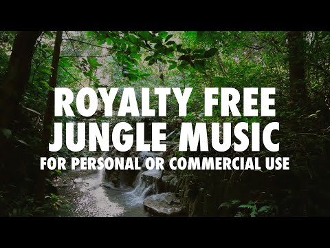 Jungle Music (Royalty free)