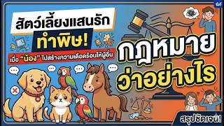 EP.20 สัตว์เลี้ยงแสนรักทำพิษ กฎหมายว่าอย่างไรเมื่อ สัตว์เลี้ยงไปสร้างความเดือดร้อนให้ผู้อื่น