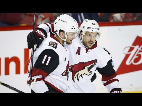 The Career of Antoine Vermette