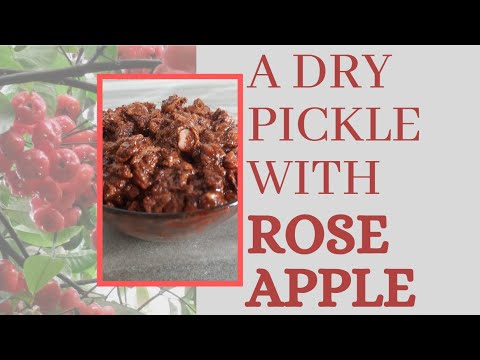 Dry pickle with a moral | ചാമ്പക്ക അച്ചാർ