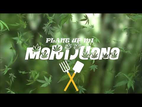 Lukie D, Anthony B - Ganja Farmer