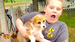 OMG, Animals Find HOMES 😭! | The Best Cute, Funny Animal Videos Compilation #7 | AFV Pets