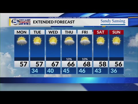 Pet of the Week: Digit, the black and white terrier pup - YouTube