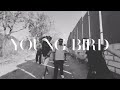 HABIBII - YOUNG BIRD X RA YAN [ OFFICIAL MUSIC  VISUALISER ] 2026 ( STORY-TELLER