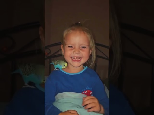 Фото Монтаж відео