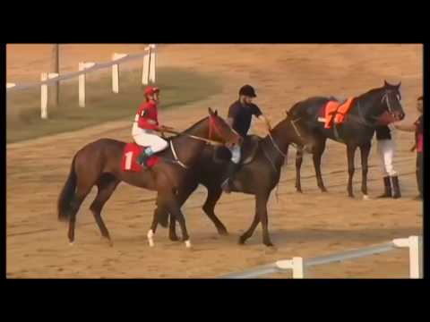 14/08/2016 – Hipodromo Melo – Carr 8 – BABY GG