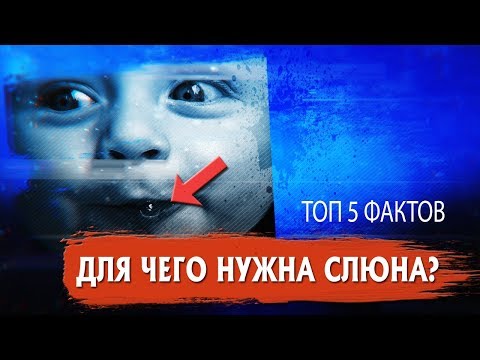 ДЛЯ ЧЕГО НУЖНА СЛЮНА? ТОП 5 УДИВИТЕЛЬНЫХ ФАКТОВ