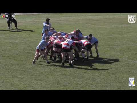 2019 John I Dent - Premier Colts Round 9 Highlights - Vikings v Wests